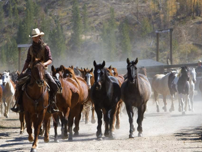 C Lazy U Ranch – Granby, CO